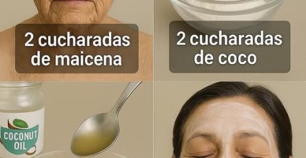 556094600 677338975409946 7570490966972369622 n