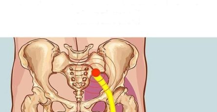 556109423 122189129096345226 1475586140051829147 n