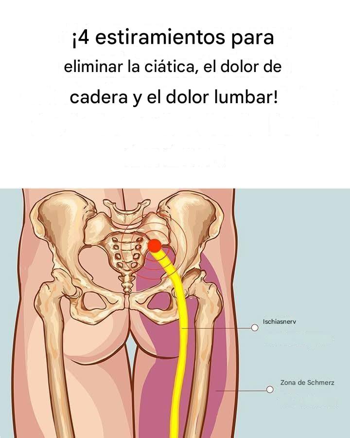 556109423 122189129096345226 1475586140051829147 n