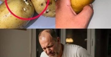 556131006 758626407012721 631448585584613930 n