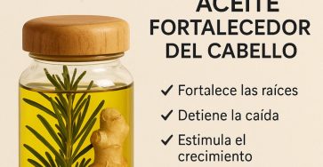 556315653 1145123061110595 8360947173232629785 n 1 1536x1291