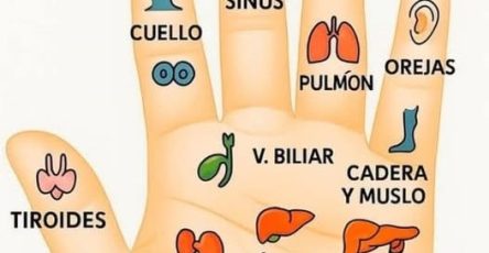 556419432 1783937335827366 5317966136362163610 n