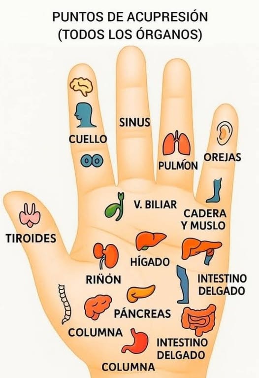 556419432 1783937335827366 5317966136362163610 n