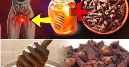 556596106 777174214933312 7977714571881138876 n