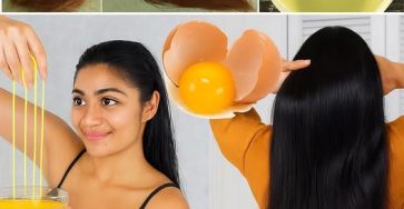 556817940 679366365207207 5250540107849157217 n