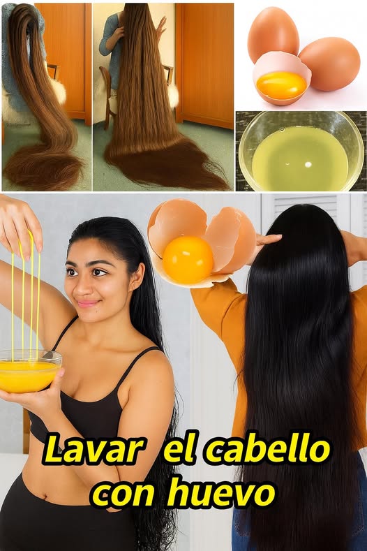 556817940 679366365207207 5250540107849157217 n