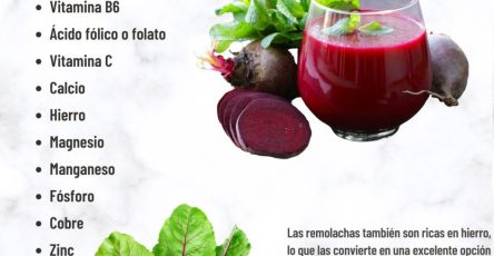 556980518 1310107710746951 4441103023411584660 n (1)