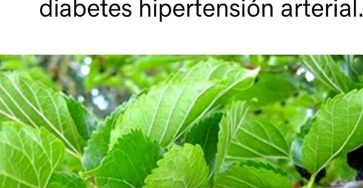 557046817 122200253450298874 4521860057058995479 n