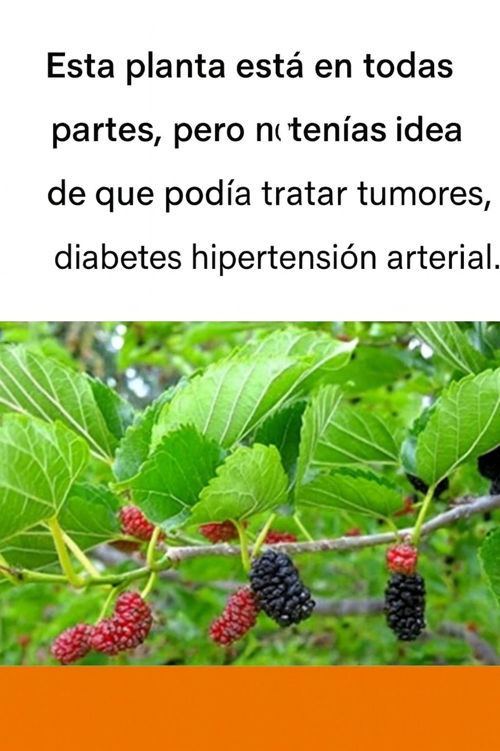 557046817 122200253450298874 4521860057058995479 n