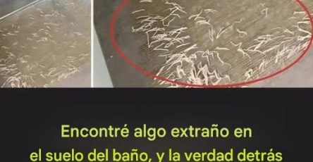 557275096 830408122893703 804313310933912890 n