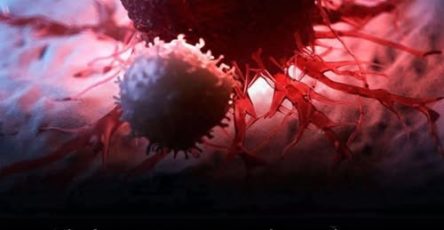 557540619 1167583552182046 1681552607550815022 n