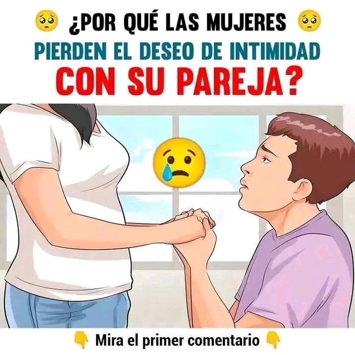 557556921 1169275318679536 2687995118963435538 n