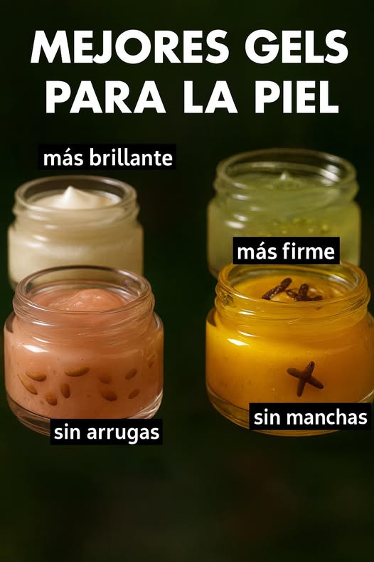 557606663 679603015183542 4185738323187263253 n