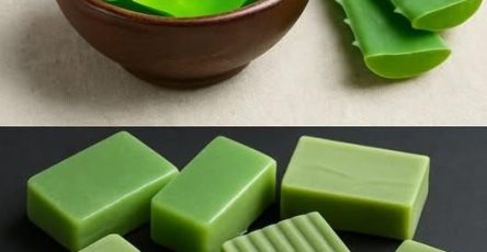 557610954 1965822864272692 8455743667114027429 n 1 (1)