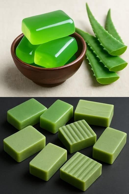 557610954 1965822864272692 8455743667114027429 n 1 (1)