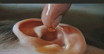 557632662 1167484142191987 3462295347090605739 n