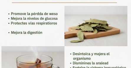 557642463 1146443970978504 5870660312420277508 n