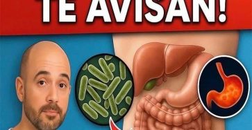 557964771 122184737504449477 2631846674032831536 n