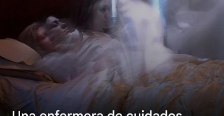 558154789 830316059569576 6994734946635990863 n