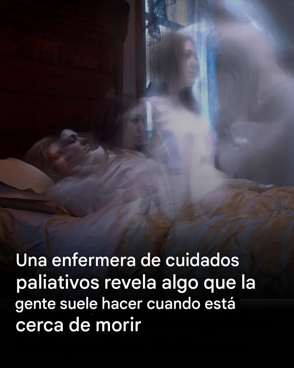 558154789 830316059569576 6994734946635990863 n