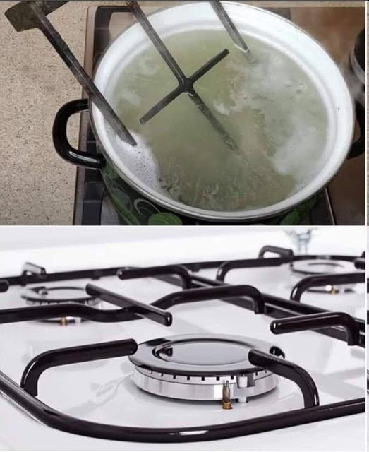 558656993 2264323287420727 5979420587304058970 n