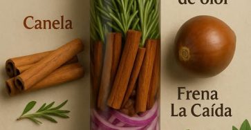 558835674 679556438521533 3458009473011392558 n