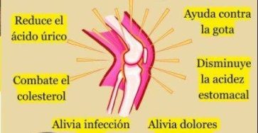 558867158 1872301203699121 216851874886698975 n