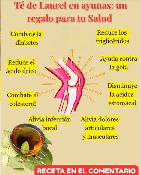 558867158 1872301203699121 216851874886698975 n