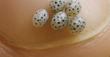 559698134 122267962112072553 6787440454487003432 n