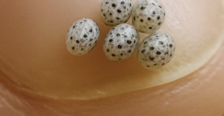 559698134 122267962112072553 6787440454487003432 n