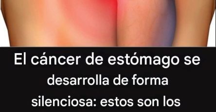 564582127 785160424511201 5384624420865796270 n