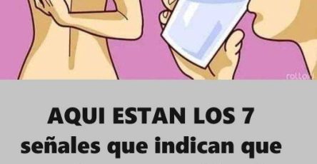 565221599 787065444125016 7096886572590443638 n