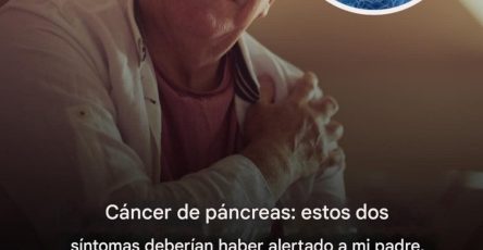 569179586 798749956275003 813610325566389782 n