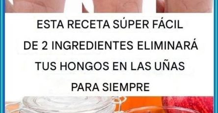 570258976 1798364094148455 4941414630376169891 n