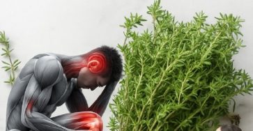 571172071 2330182307494023 2485846258607361010 n