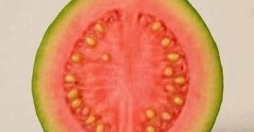 571216262 803153292501336 4329073150403396911 n