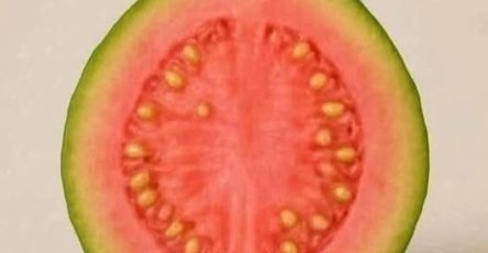 571216262 803153292501336 4329073150403396911 n