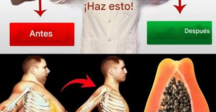 574520012 122222852138111867 5858472952228101877 n