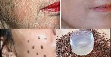 576343669 810921991724466 9075873131741483334 n (1)