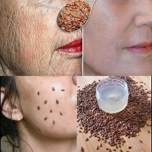 576343669 810921991724466 9075873131741483334 n (1)