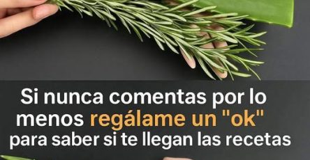 577764409 2215263705619195 1959022664345623626 n