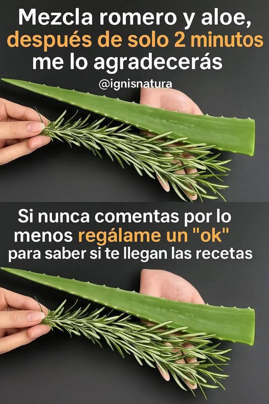 577764409 2215263705619195 1959022664345623626 n