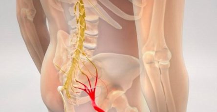 578802264 1577338586944382 9199984378266128500 n