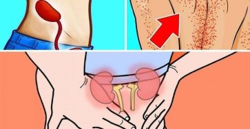 580573571 1679813593404360 1980960637439609046 n