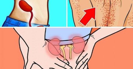 580573571 1679813593404360 1980960637439609046 n