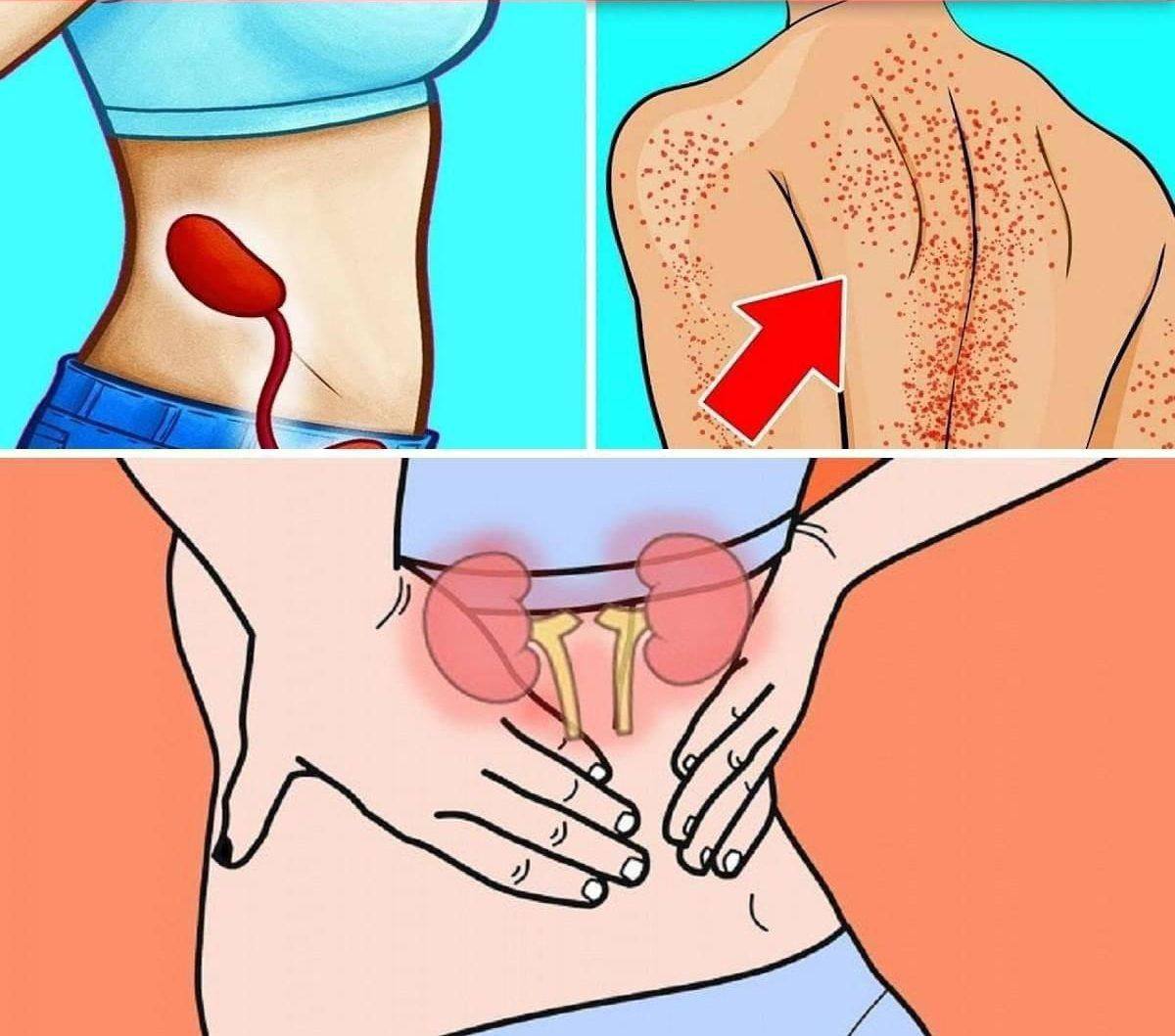 580573571 1679813593404360 1980960637439609046 n