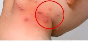 587200793 1598924968183205 3712306618281266837 n