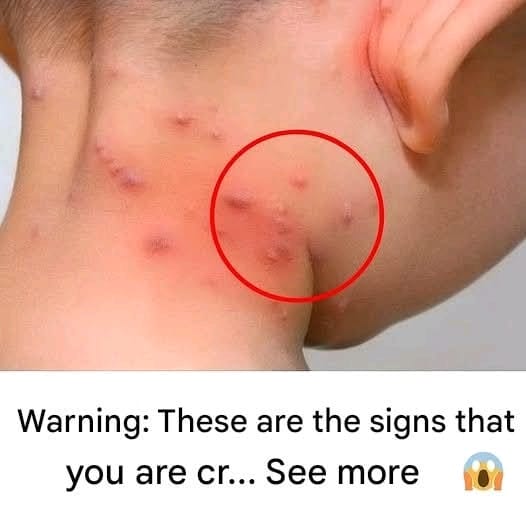 587200793 1598924968183205 3712306618281266837 n