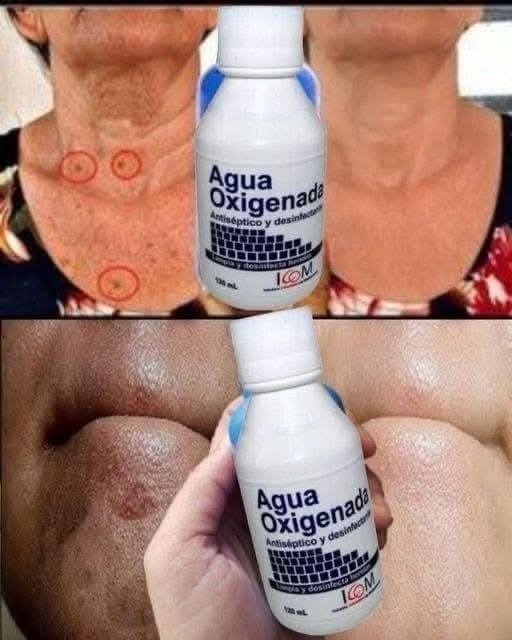 587719853 1407483247606854 9013391158533206344 n