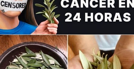 589066541 1387173546247277 8747445254079150866 n